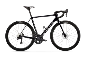Essentia-2025-ultegra-BLUE (1)